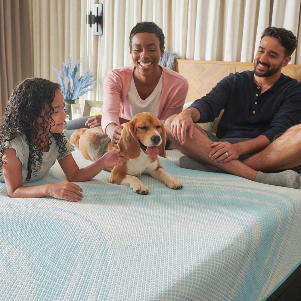 Tempur-LuxeBreeze Medium Hybrid Mattress, family and dog