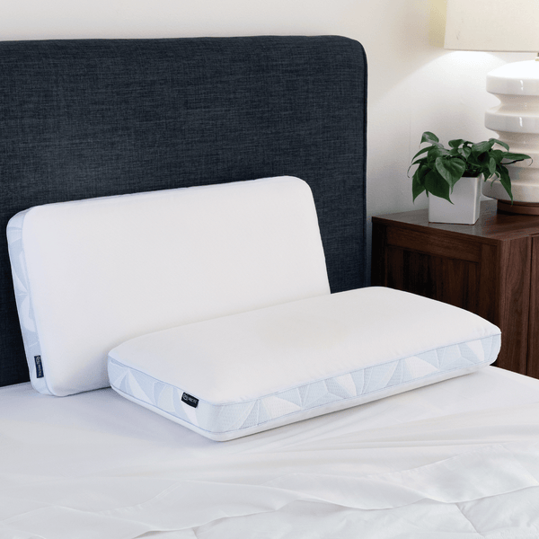https://www.fostersmattress.com/cdn/shop/products/SE21_Arctic_Gusseted_Q_MemoryFoamPillow_Room_01_300x@2x.png?v=1685993084